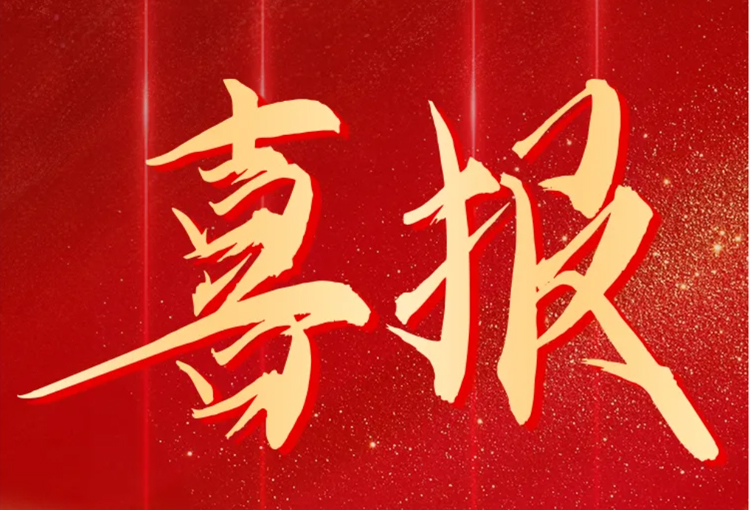 喜訊 | 費(fèi)勉儀器成功入選上海市專(zhuān)利工作示范單位！