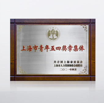 2021 上海市青年五四獎(jiǎng)?wù)录w