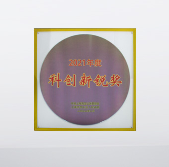 2021年度科創(chuàng)新銳獎(jiǎng)
