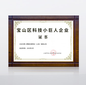 2020 寶山區(qū)科技小巨人